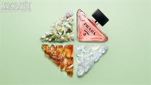 Ai sẽ đại diện Việt Nam cho Prada tham dự sự kiện ở Thái Lan?