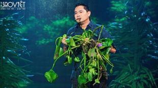 Đạo diễn Vũ Thành Vinh “rùng mình” khi thấy cảnh Minh Luân ăn lục bình trên sóng truyền hình