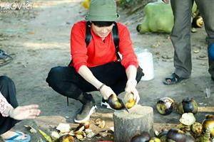 Huỳnh Lập “đổ máu” khi thi tài chặt thốt nốt cùng Lê Giang, Trà Ngọc